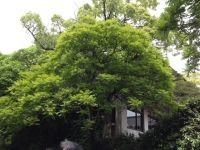 20120521064643-1.jpg